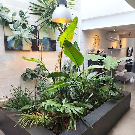 Loft Carrasketa Daire Alfafara Dış mekan fotoğraf